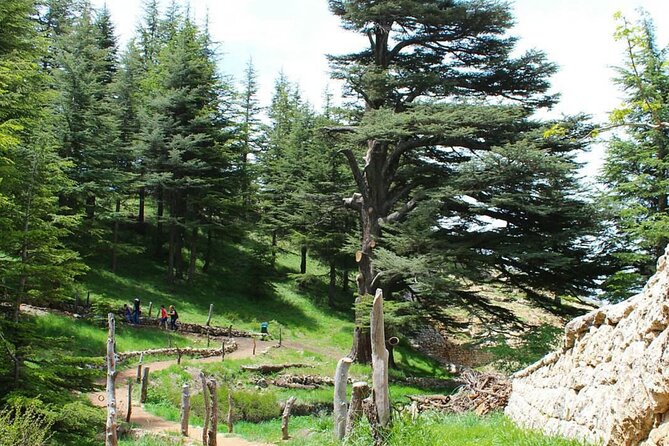 6-Day Highlights of Lebanon Tour from Beirut with Pickup - Jeita Grotto, Harissa, and Byblos on Day 2