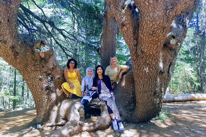 Beirut to Qadisha Valley, Bcharri & Cedar: Daily Tours with Lunch - Guide quality, driving, and group size