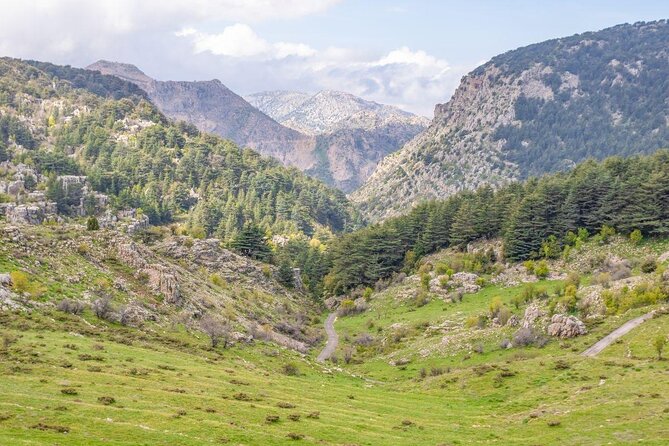 Cedars, Bsharre & Kozhaya Day Tour - At a glance: what makes this day special