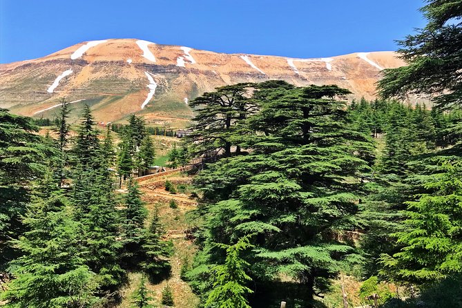 Cedars, Bsharre & Kozhaya Day Tour - Why the northern mountains are worth your time
