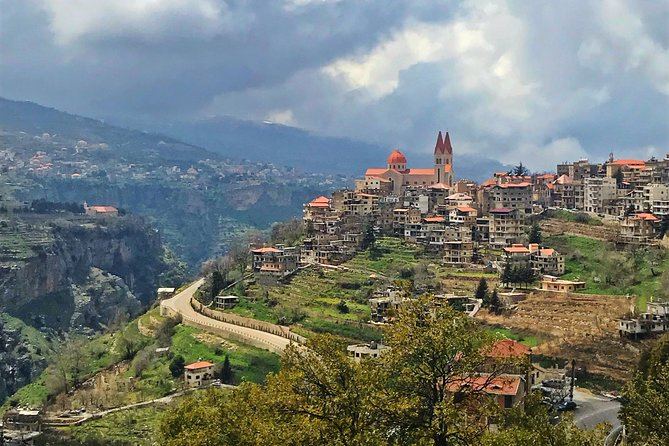 Cedars, Bsharre & Kozhaya Day Tour - Is $174.36 a fair price?