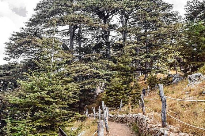 Cedars of Lebanon, Qozhaya, & Bcharre - With Lunch (4G on Board) - Lebanese Mezze in the Mountains