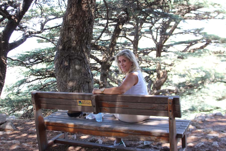 Cedars Shouf & Beiteddine w/pick-up, guide, entries+lunch - Why this mountain day trip works from Beirut