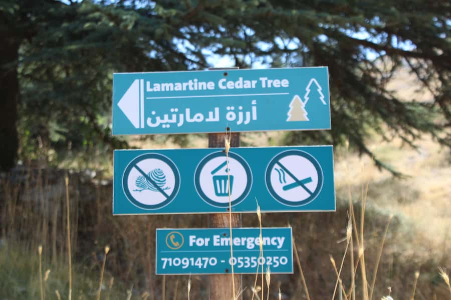 Cedars Shouf & Beiteddine w/pick-up, guide, entries+lunch - Deir el Qamar and its stone streets
