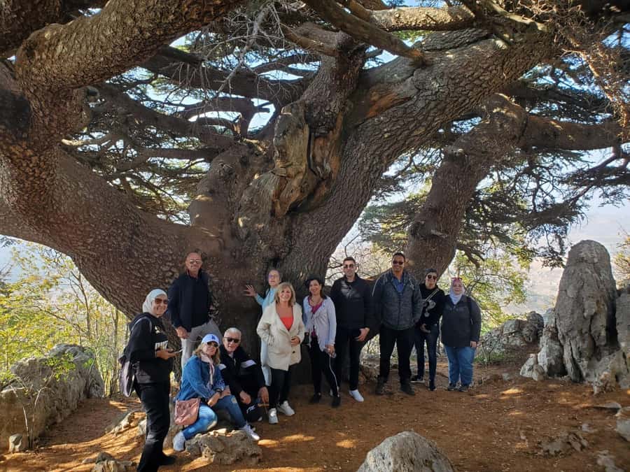 Cedars Shouf & Beiteddine w/pick-up, guide, entries+lunch - Lebanese lunch with mezze and grills