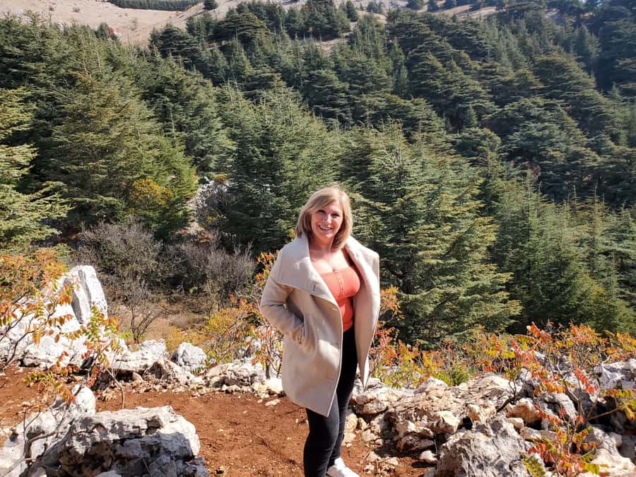 Cedars Shouf & Beiteddine w/pick-up, guide, entries+lunch - The schedule and the return to Beirut