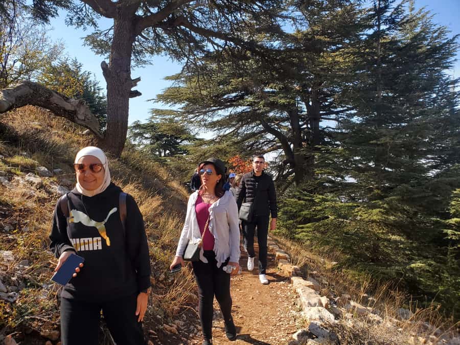 Cedars Shouf & Beiteddine w/pick-up, guide, entries+lunch - Is $140 a fair price?