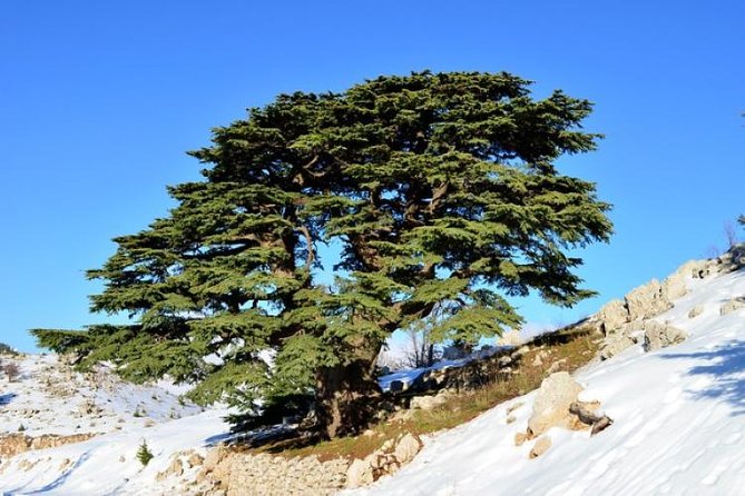 Chouf Charm: Private Journey Through Lebanon's Historic Heartland - Deir el Qamar, where several faiths share one old town