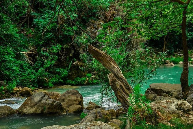 Chouwen Lake Hiking & Swimming - Who will enjoy this day most?