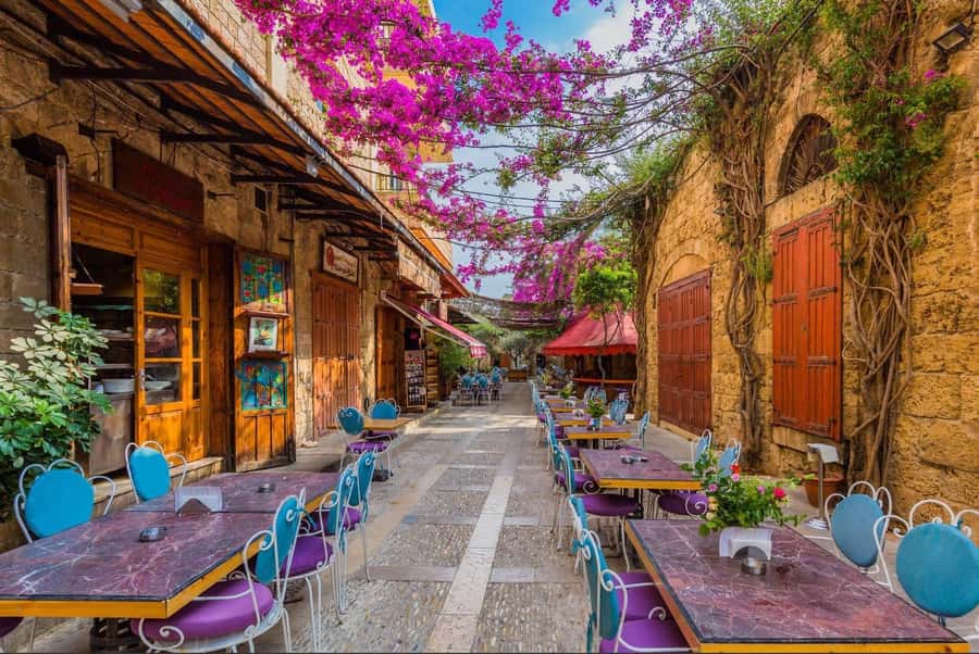 From Beirut: Jeita Grotto, Harissa & Byblos Private Day Tour - The northern coast adds Mseilha, museums, and Batroun