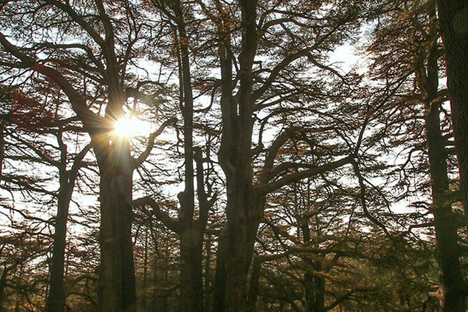 Full-Day Guided Tour of Northern Lebanon with Hotel Pickup - The Gibran Museum and the artist behind the town