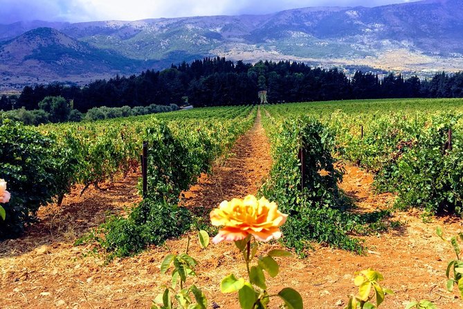 Full-Day Private Wine Tasting Tour - From Beirut to the Beqaa Valley at 9:00 a.m.