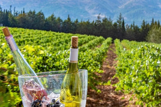 Full-Day Private Wine Tasting Tour - What the private format is really worth