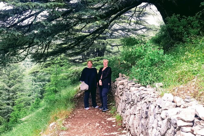 Guided Full-Day Private Trip to Cedars, Baalbek and Chateau Ksara - Why this day trip works from Beirut