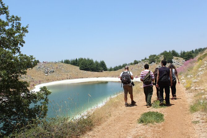 Guided small group to Cedars Reserve & Beiteddine w/lunch+entries - What the guide adds to the day
