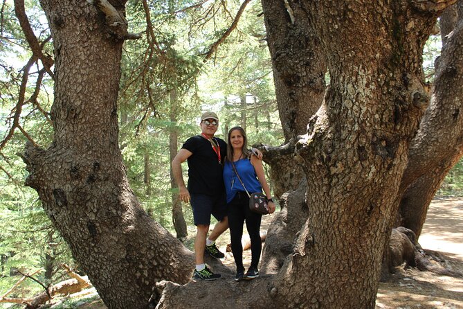 Guided small group to Cedars Reserve & Beiteddine w/lunch+entries - Timing, pickup, and practical fit