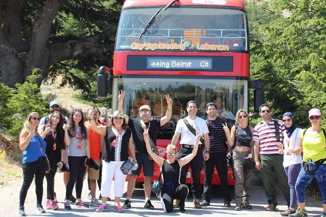 Guided small group to Cedars Reserve & Beiteddine w/lunch+entries - Who should book this experience?