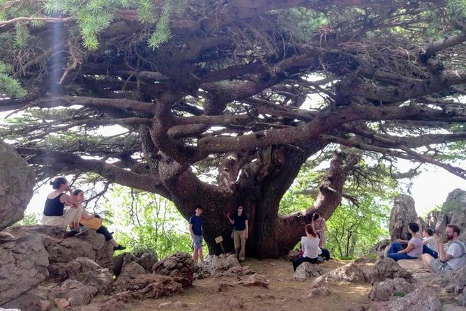 Guided Small-Group Tour to Qadisha, Bcharee & Cedars with Lunch - Qadisha Valley, where monasteries cling to the mountains