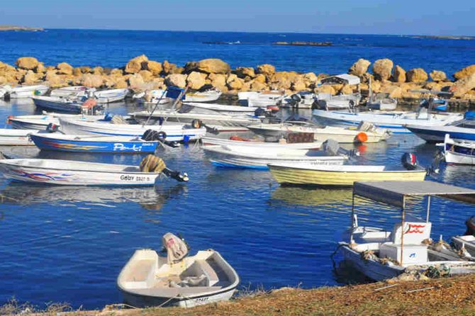 Guided Small-Group Tour to Tripoli and Batroun with Lunch - Key Points at a Glance