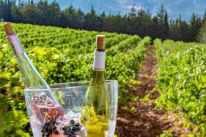 Journey Through Lebanese Wine: A Private Tour in the Beqaa Valley - Who will enjoy this wine day most