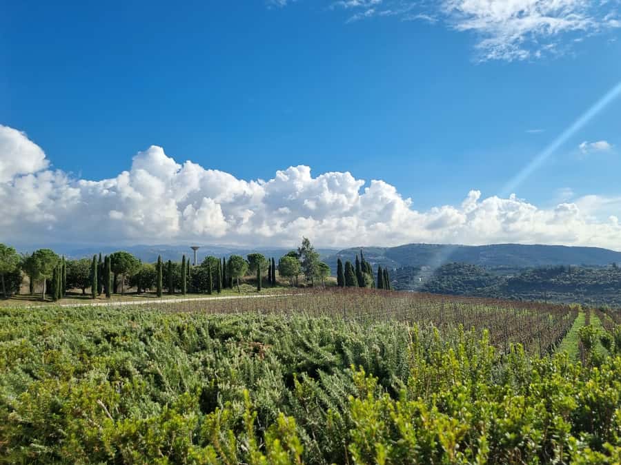 Lebanese wineries guided tour with tastings & lunch - Château Kefraya And The First Tasting