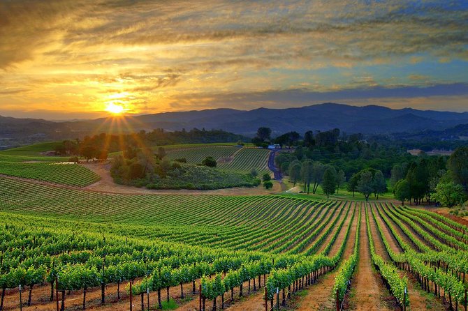 Lebanon Wine Tasting Tour From Beirut - Is $91.03 a good price for eight hours?