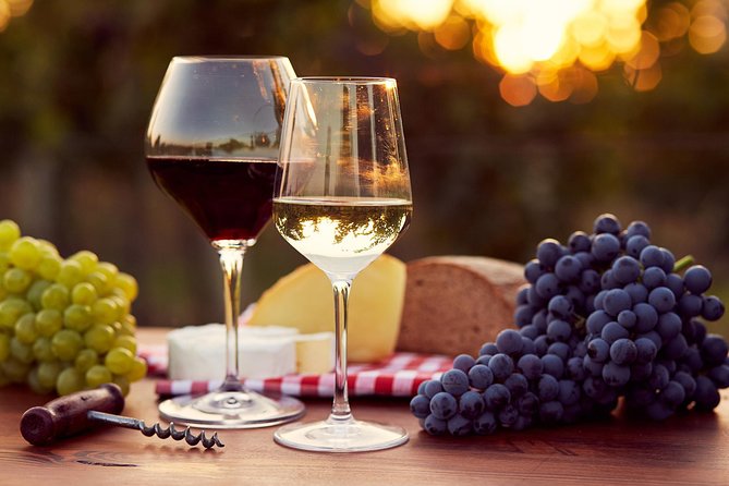 Lebanon Wine Tasting Tour From Beirut - Who should book this Beirut wine tour?