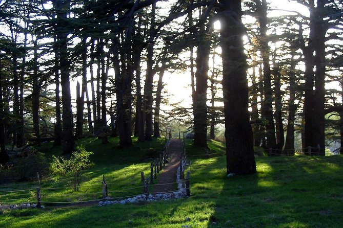 PRIVATE Tour to Cedars of God, Besharre & Qozhaya Valley - Key points at a glance