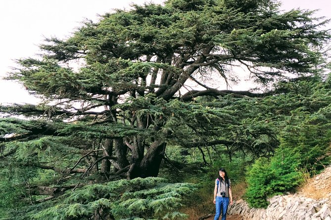 Private Trip to Beiteddine, Deir el Qamar & Maaser el Chouf Cedars - Five details that shape the day