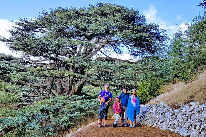 Private Trip to Beiteddine, Deir el Qamar & Maaser el Chouf Cedars - Why this mountain trip works from Beirut