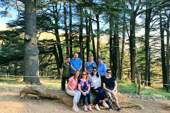 Private Trip to Qadisha Valley, Bcharri and Cedars of God - Why this northern Lebanon day trip works