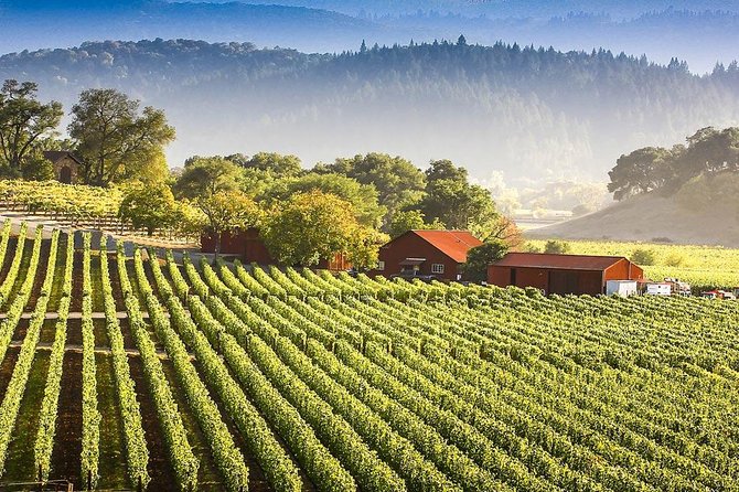PRIVATE Wine Tasting Tour to the Bekaa Valey Fabulous Wineries - Château St. Thomas and the value of comparison