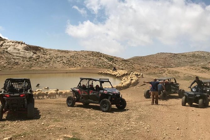 RZR XP4 (4 Seat Buggy) Full Day Off-Road Scenic Adventures - Ehden, forests, and a northern mountain destination