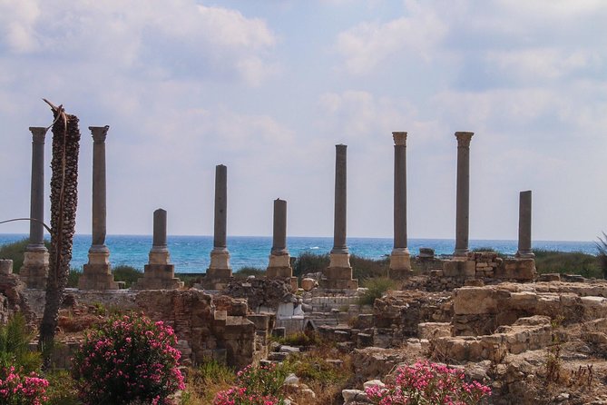 Small-Group Tour to Sidon, Tyre and Maghdouche with Lunch and Tickets - The Tyre Hippodrome and the scale of Roman sport