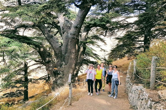 Small-Group Tour with Lunch to Qadisha Valley, Bcharre and Cedars - Why this Mount Lebanon day trip is worth your time