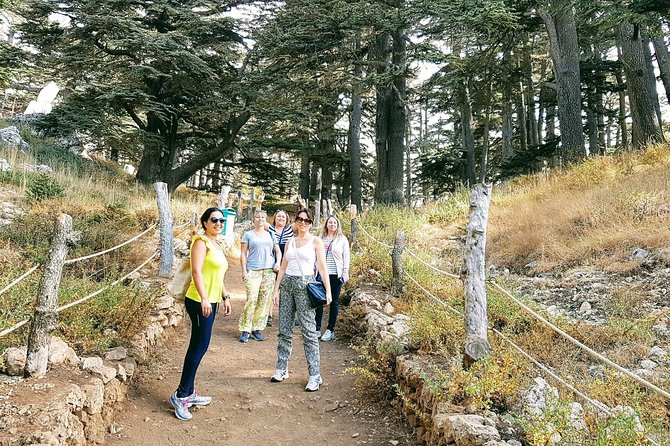 Small-Group Tour with Lunch to Qadisha Valley, Bcharre and Cedars - Lunch and the value of the $60 price