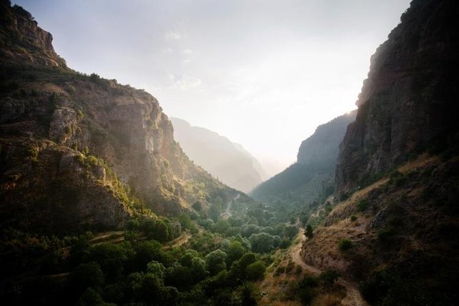 Small-Group Tour with Lunch to Qadisha Valley, Bcharre and Cedars - Timing, group size, and what to expect on the road