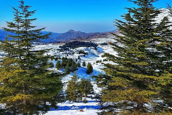 Unlocking the Wonders of Lebanon: Journey Through Qadisha Valley - Deir Qozhaya and the Monastic Tradition