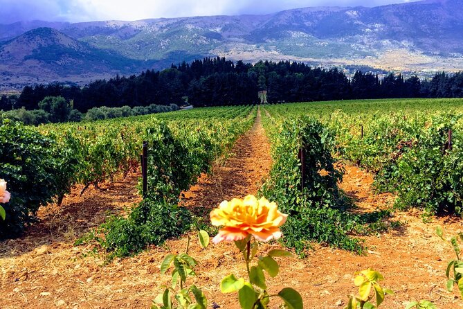 Wine Tasting and Culture - Why this Beirut day trip works