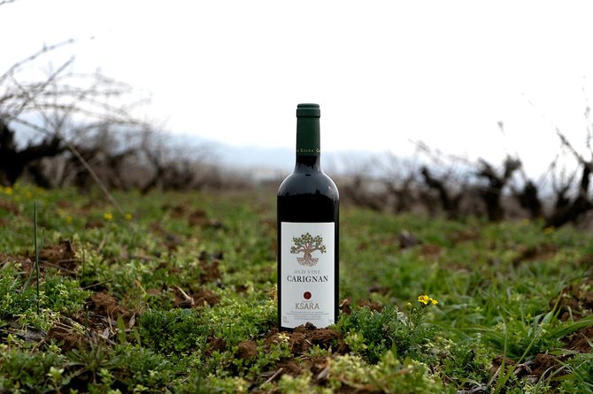 Wine Tasting and Culture - Is $100 a fair price?