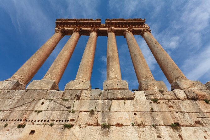 Wine Tasting and Culture - Who should book this experience?